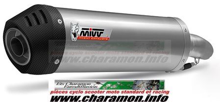 pot d'échappement et silencieux MIVV YAMAHA X MAX 125 06 version sport - Image 1